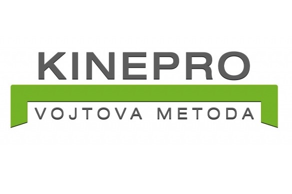Konzultace terapie - logo KM KINEPRO PLUS s.r.o.